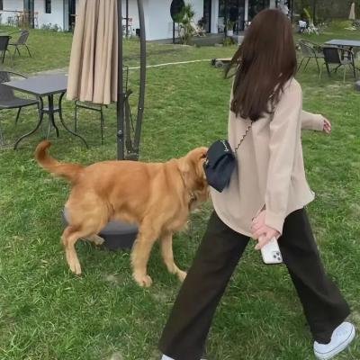 麻吉妖怪岛